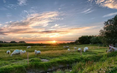 Sonnenuntergang Ostbense